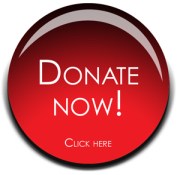 Donate Now image