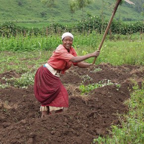 Guest Post: Empowering Women Through&nbsp;Veganism